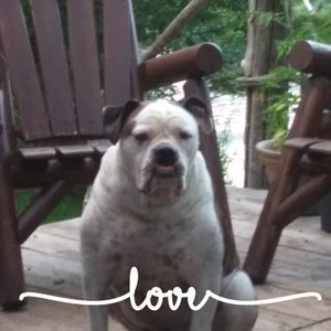 Meet your Posher, Dawn